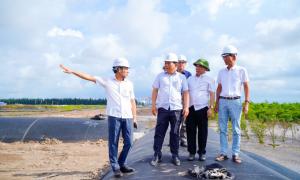 Hải Phòng đẩy nhanh tiến độ triển khai Dự án đầu tư xây dựng tuyến đê biển Nam Đình Vũ